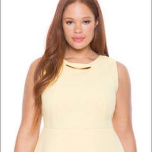 Stunning ELOQUII Plus Size Dress